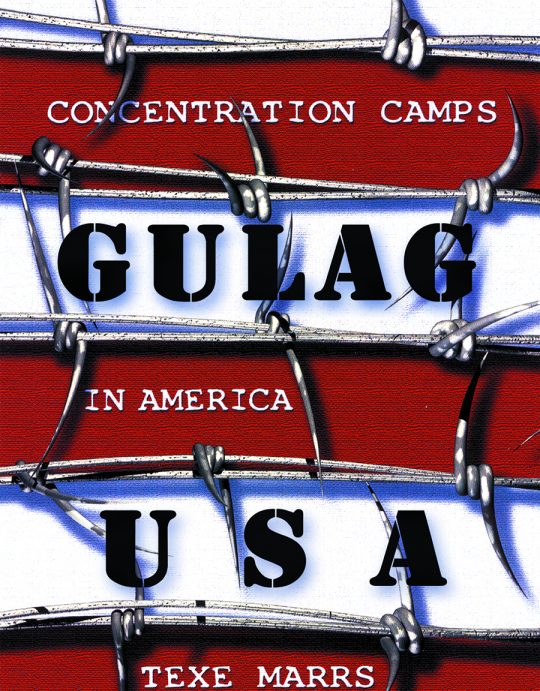 Gulag USA