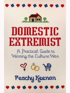 Domestic Extremist: A Practical  Guide to Winning the Culture War
